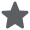 Star icon